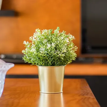 Apartman Seashells Armação de Pêra