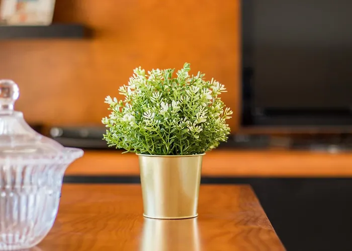 아파트 Seashells *